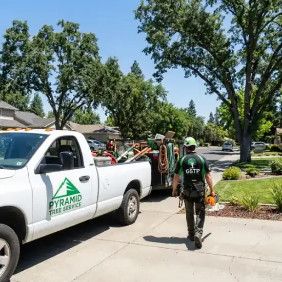 Cut It Right Tree Service LLC truck arriving at a Fresno residential job